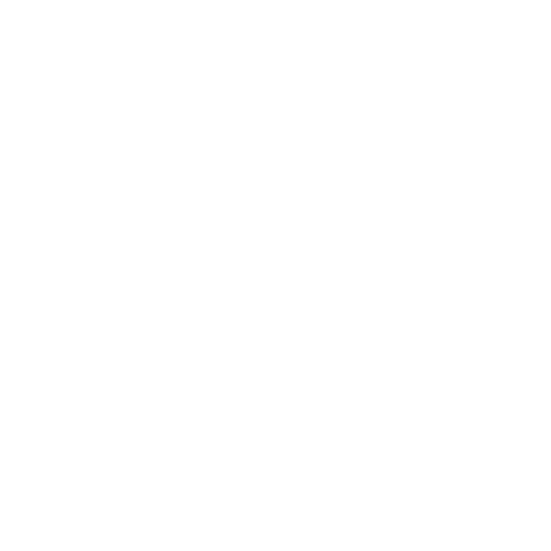 Logo S